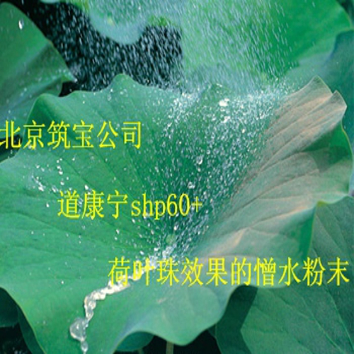 SHP 60+有機(jī)硅憎水粉末
